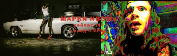стаф Покровск