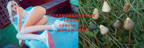 ГАЛЛЮЦИНОГЕННЫЕ ГРИБЫ Абдулино