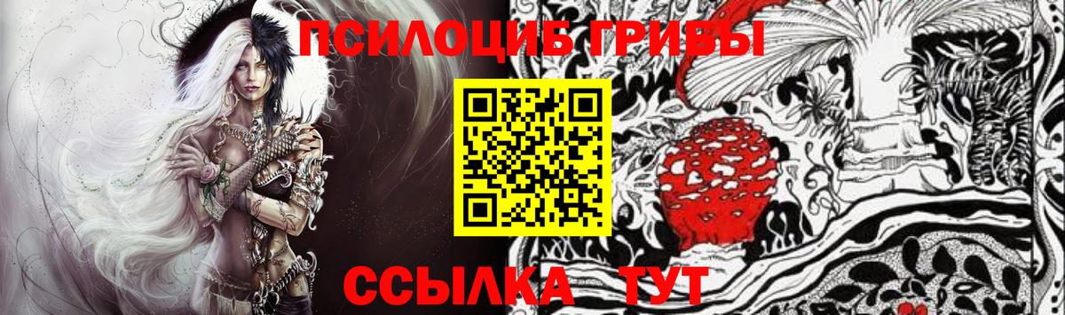 Псилоцибиновые грибы Psilocybe Кимовск