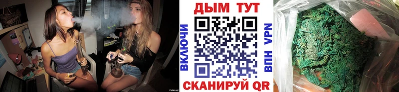 где продают наркотики Кимовск Шишки марихуана планчик